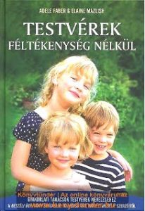 vizjel